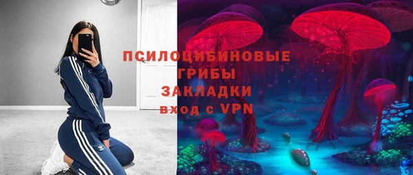 бутират Бородино