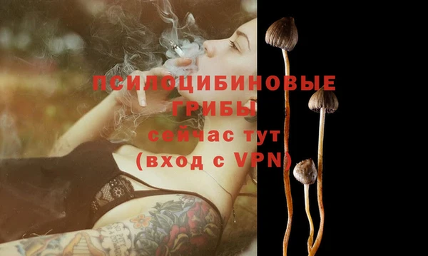 таблы Богородск