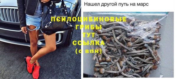 Альфа ПВП Богданович