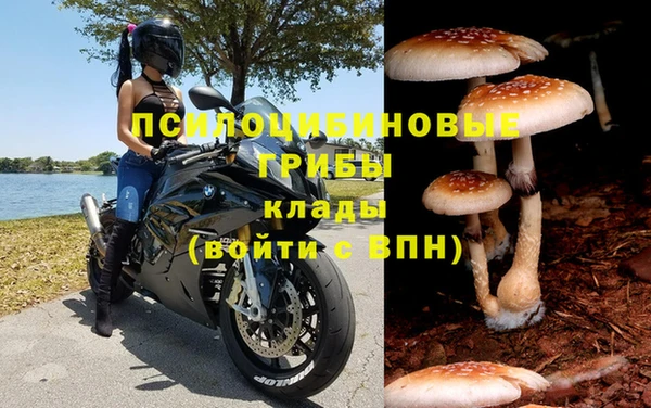 Альфа ПВП Богданович