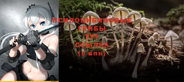 таблы Богородск